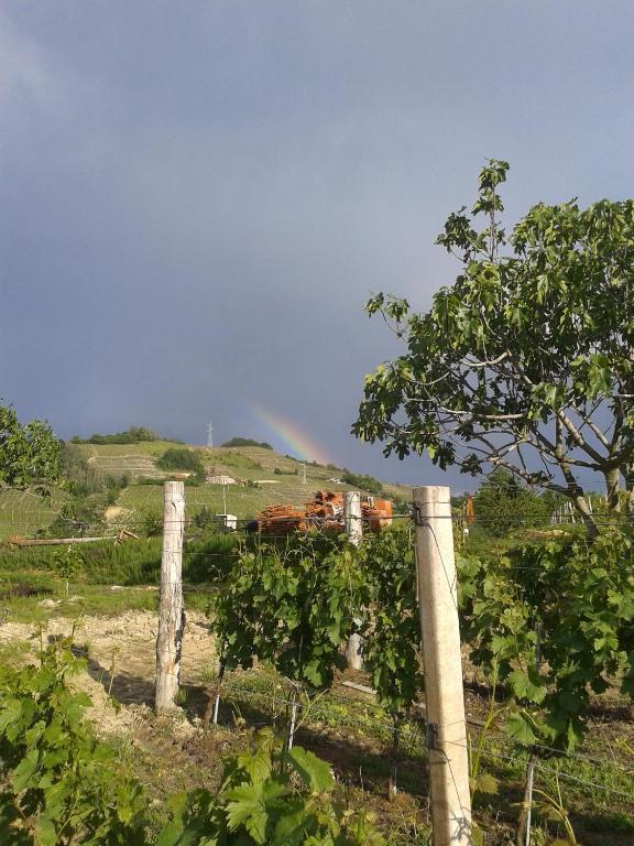 Agriturismo Ai Piacentini Santo Stefano Belbo Exterior foto
